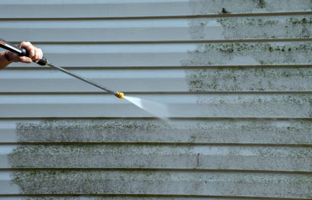 Best Roof Washing  in Pleasant Garden, NC